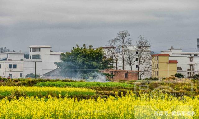 【华体会网址】欧盟宣布批准所有成员国使用700MHz频段