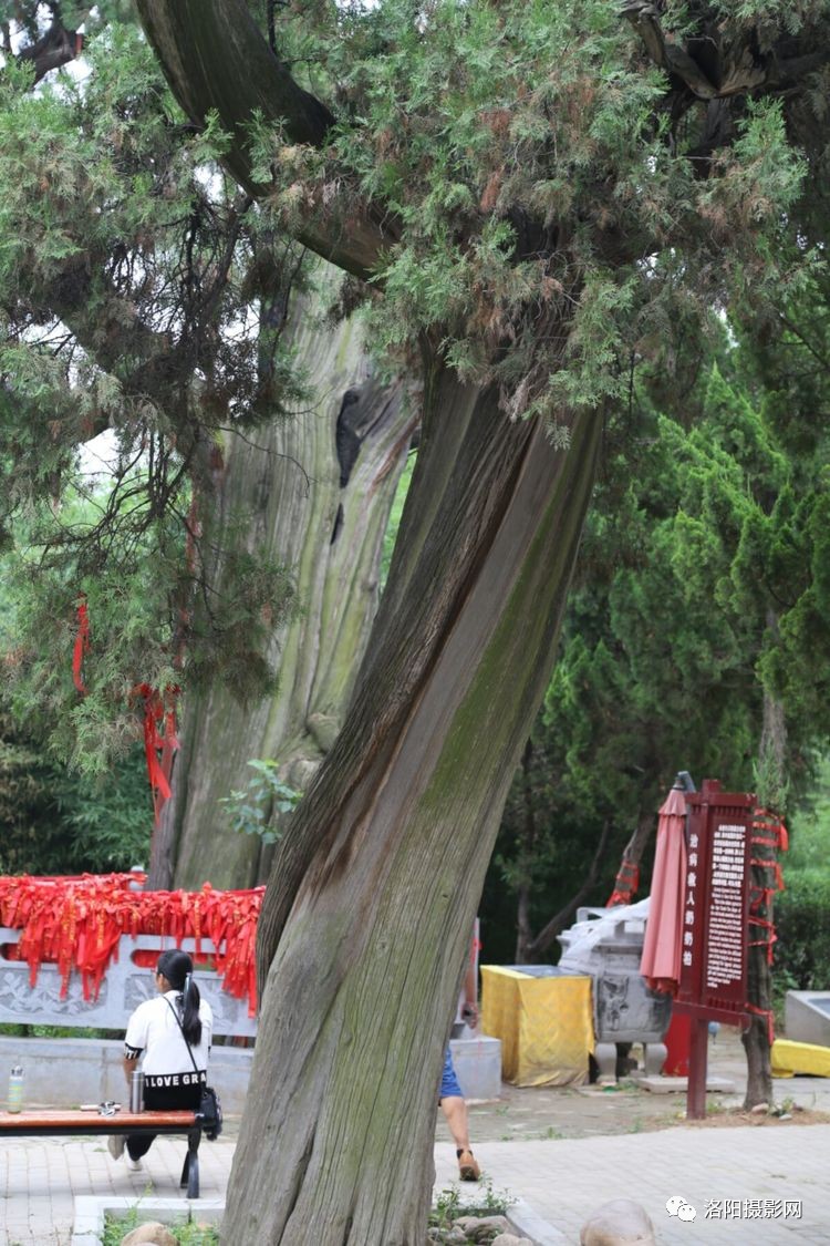 ‘华体会官方’
六路英豪谁能突出重围？2020中甲联赛第二阶段将于24日开战