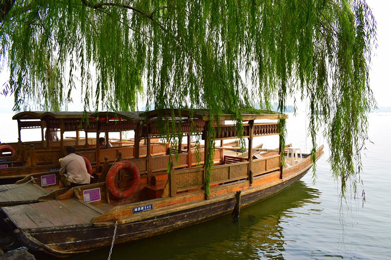 
2020深圳菊花展什么时候开始|华体会网站