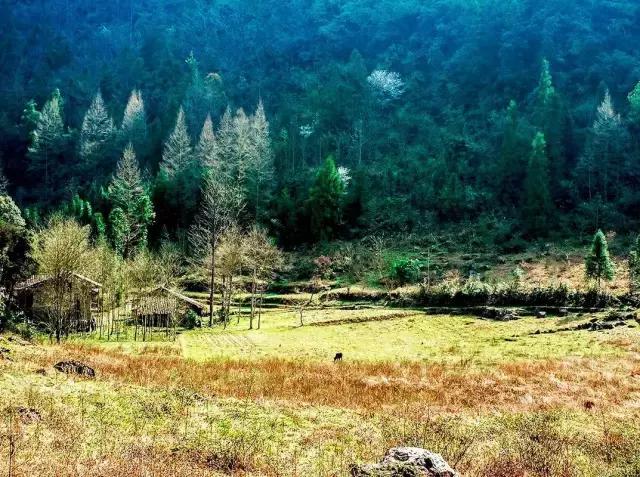 甄子丹吃完冰激凌都要健身 网友感叹好毅力_华体会网站