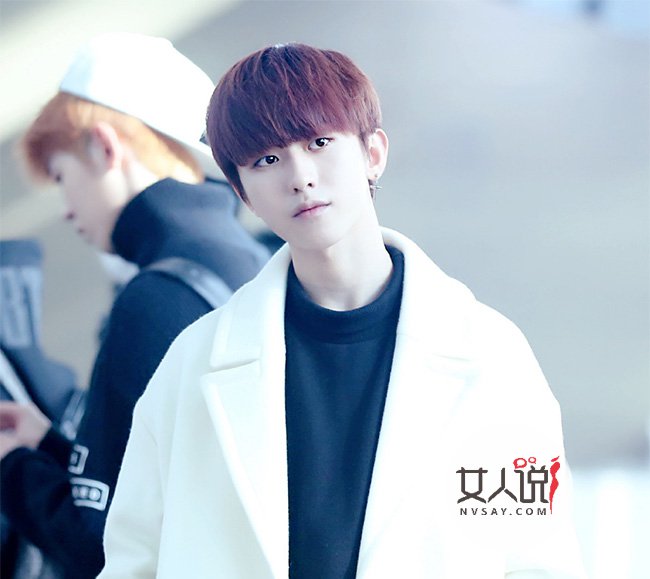 华体会网址：英媒乌龙报道诱发暴跌 美元创近7年最大单日跌幅