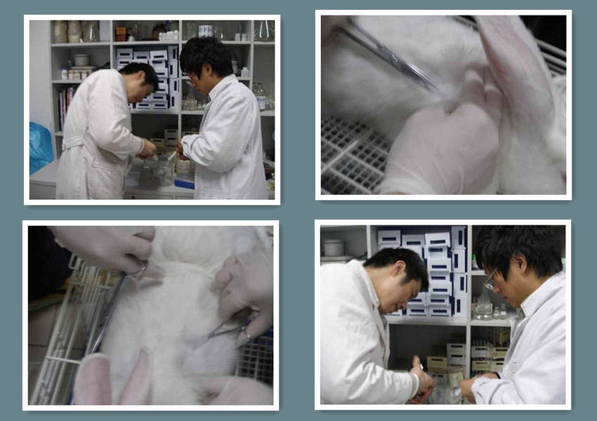 ‘华体会电子’委内瑞拉总统称或将前往美国向奥巴马发起挑战