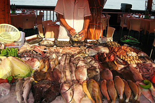 杨子姗加入壹心娱乐 杨天真为什么选择了杨子姗_华体会网站